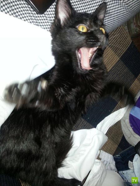 ����� � �������� ��������, ����� 3 (46 ����)