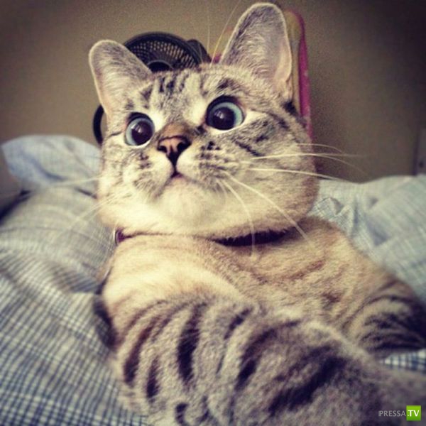 ����� � �������� ��������, ����� 3 (46 ����)