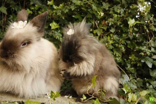 ����� � �������� ��������, ����� 3 (46 ����)