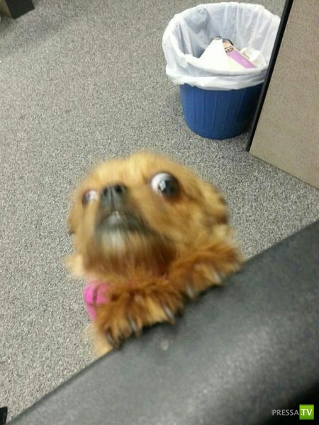 ����� � �������� ��������, ����� 3 (46 ����)