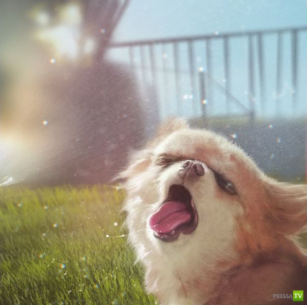 ����� � �������� ��������, ����� 3 (46 ����)