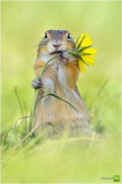 �������� ��������, ����� 8 (42 ����)