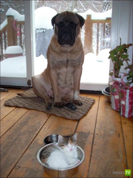 �������� ��������, ����� 8 (42 ����)