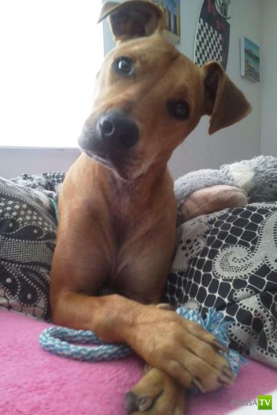 �������� ��������, ����� 8 (42 ����)