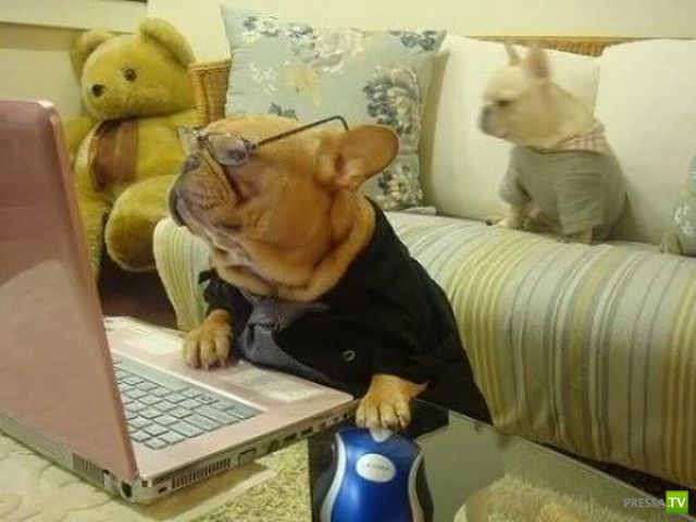 �������� ��������, ����� 8 (42 ����)