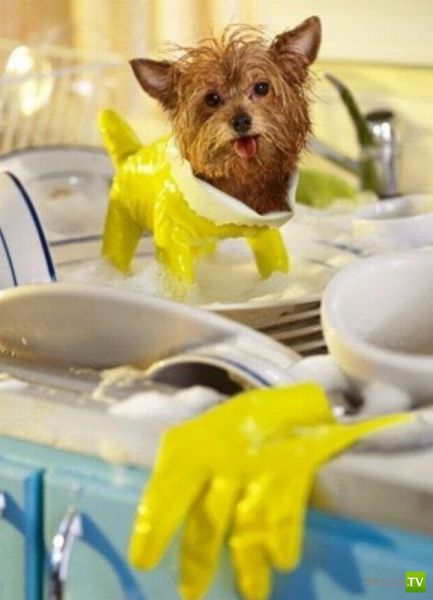 �������� ��������, ����� 8 (42 ����)