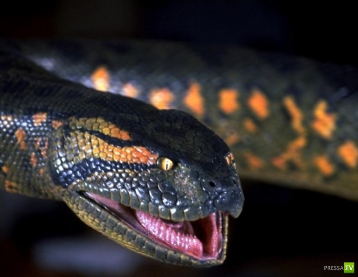 ��� ����� ���������� � ���������� �������� (11 ����)