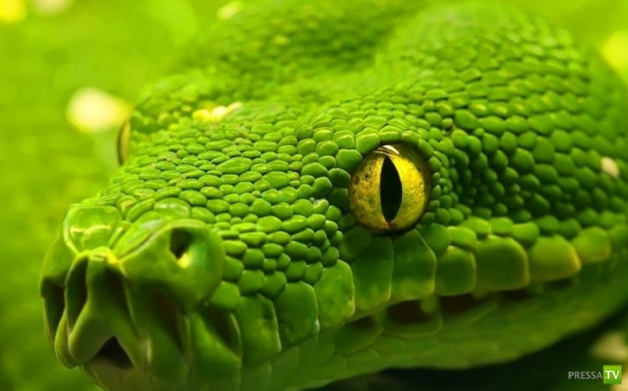 ��� ����� ���������� � ���������� �������� (11 ����)