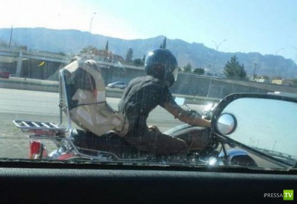 �������� - ��������� �����. ����� !!! (50 ����)