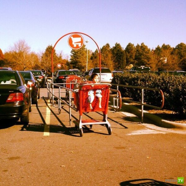 �������� - ��������� �����. ����� !!! (50 ����)