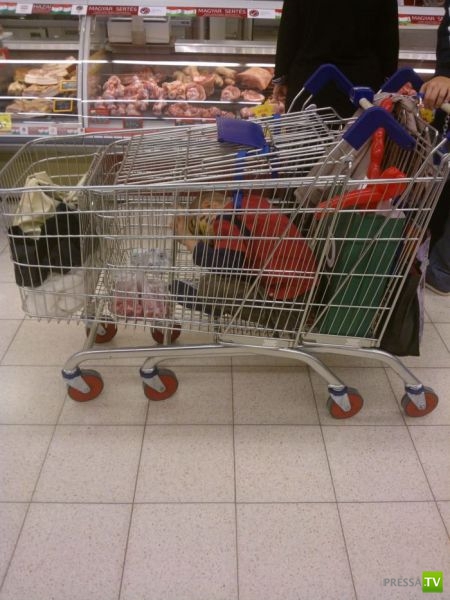 �������� - ��������� �����. ����� !!! (50 ����)