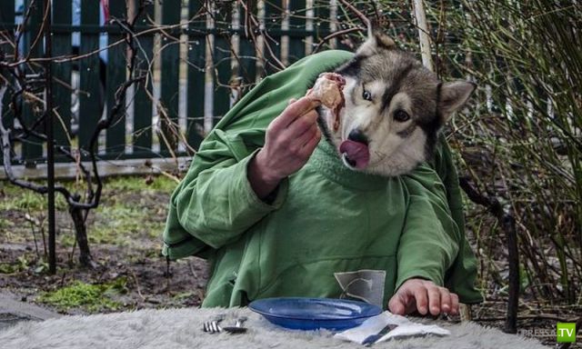 ���������� ���������� ��� �������� ����������, ����� 6 (84 ����)