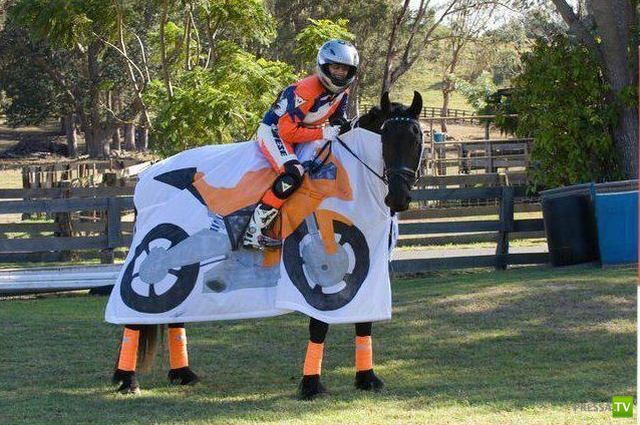 ���������� ���������� ��� �������� ����������, ����� 6 (84 ����)