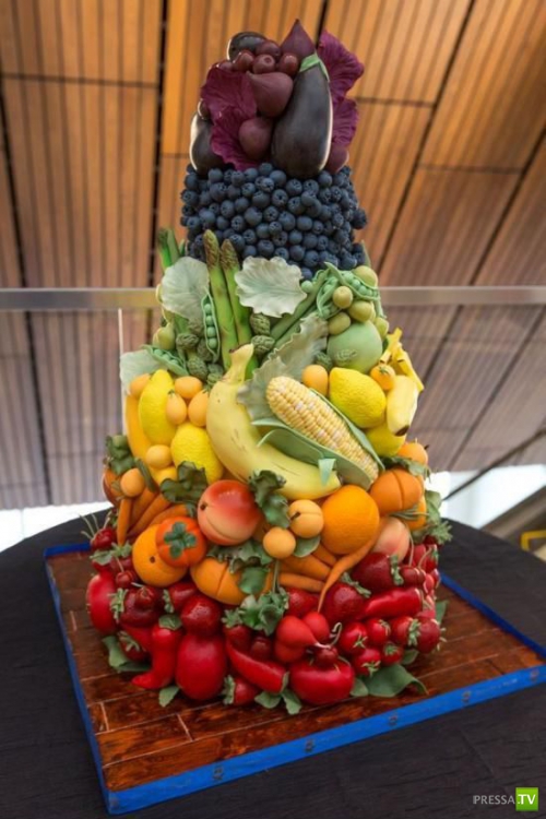 ���������� ���������� ��� �������� ����������, ����� 6 (84 ����)