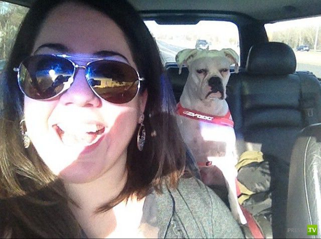 ���������� ���������� ��� �������� ����������, ����� 6 (84 ����)