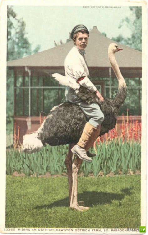 ���������� ���������� ��� �������� ����������, ����� 6 (84 ����)