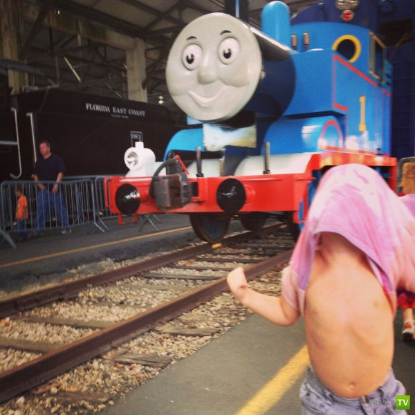 ���������� ���������� ��� �������� ����������, ����� 6 (84 ����)