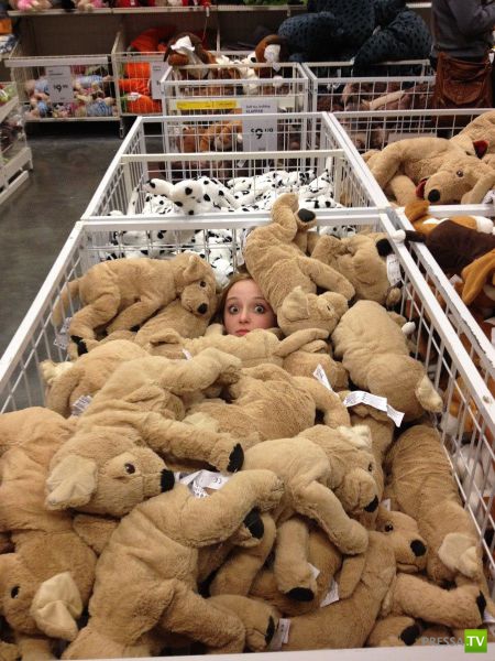 ���������� ���������� ��� �������� ����������, ����� 6 (84 ����)