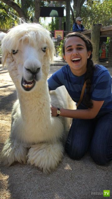 ���������� ���������� ��� �������� ����������, ����� 6 (84 ����)