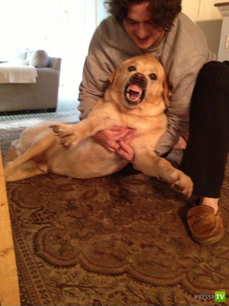 ���������� ���������� ��� �������� ����������, ����� 6 (84 ����)