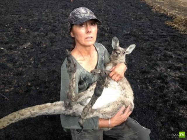 ���������� ���������� ��� �������� ����������, ����� 6 (84 ����)