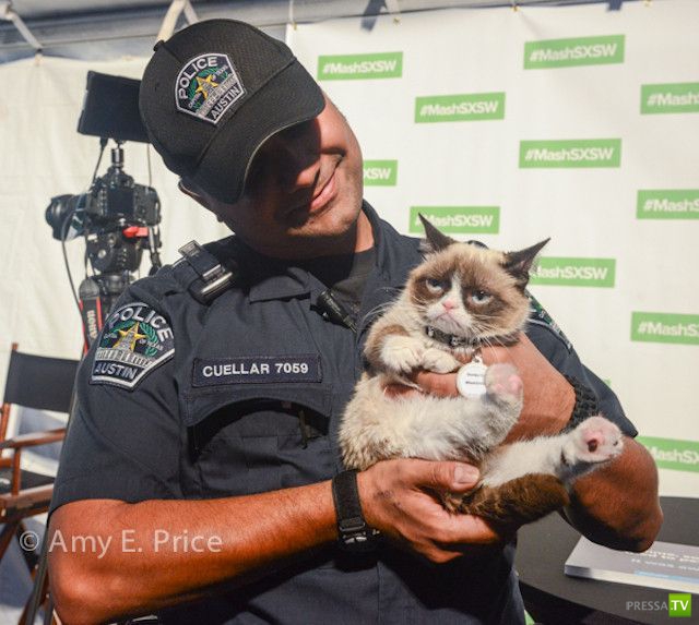 ���������� ���������� ��� �������� ����������, ����� 6 (84 ����)