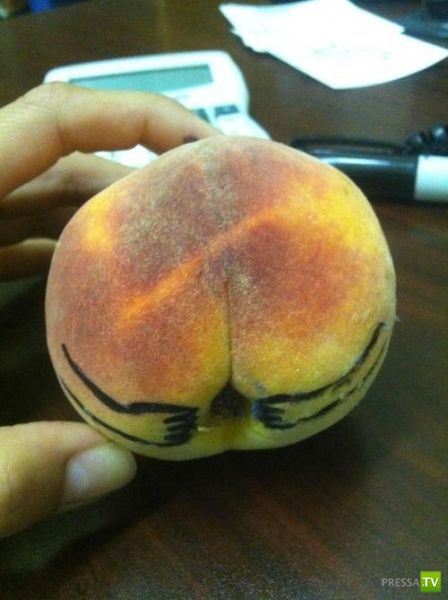 ���������� ���������� ��� �������� ����������, ����� 6 (84 ����)