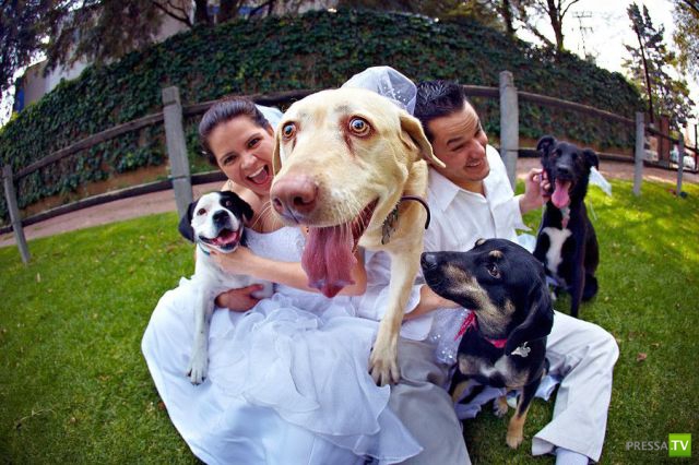 ���������� ���������� ��� �������� ����������, ����� 6 (84 ����)