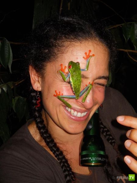 ���������� ���������� ��� �������� ����������, ����� 6 (84 ����)