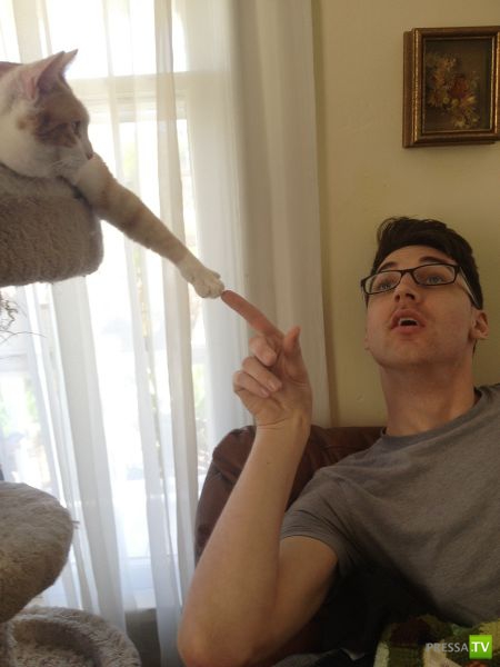 ���������� ���������� ��� �������� ����������, ����� 6 (84 ����)