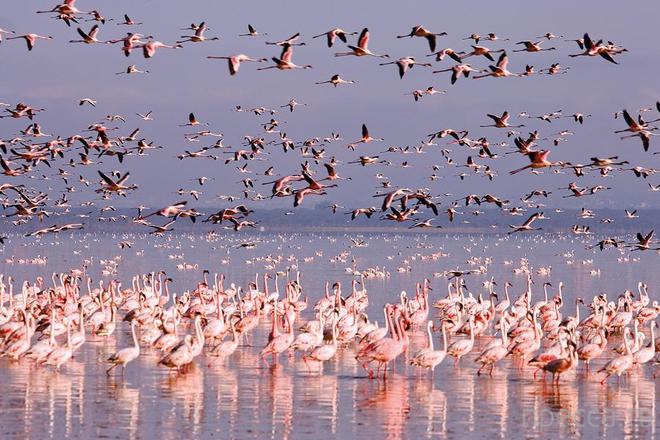 ����� ��������� ����� ���� (10 ����)