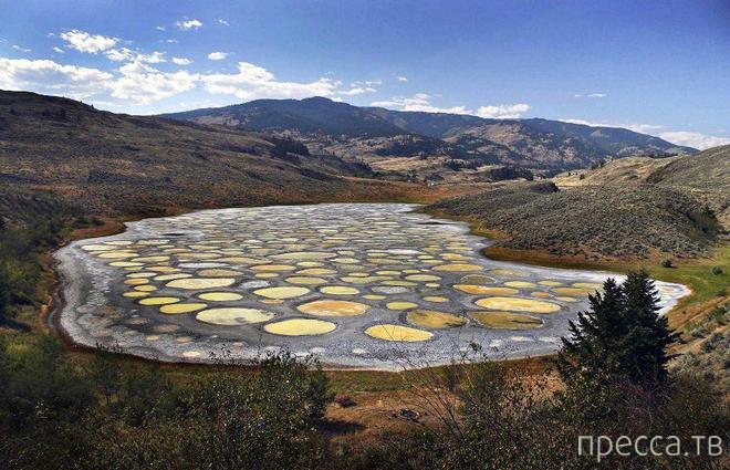 ����� ��������� ����� ���� (10 ����)