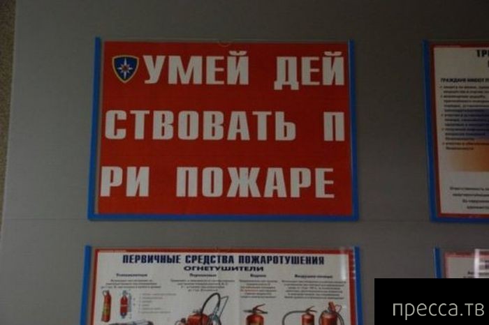 �������� ������� - ������� � ����������, ����� 41 (29 ����)