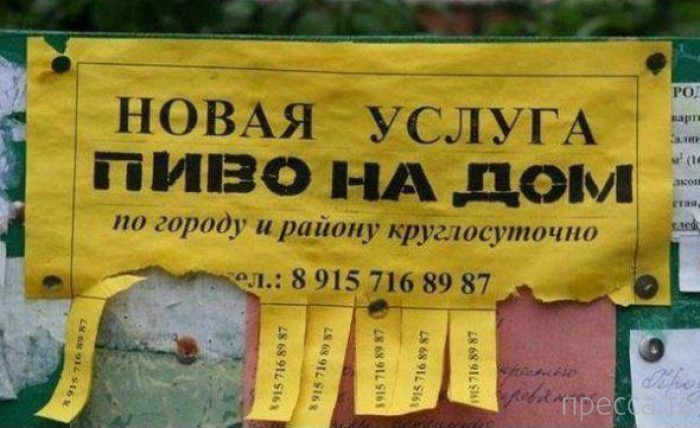 �������� ������� - ������� � ����������, ����� 41 (29 ����)