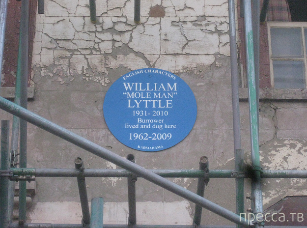   (William Lyttle) - - (7 )