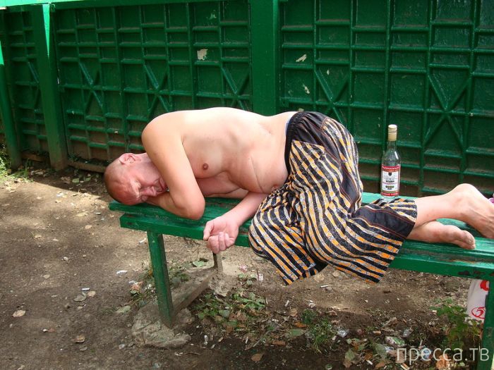 �������� - ���� �� ����� ��������������� � ������������ ������� ������ (26 ����)