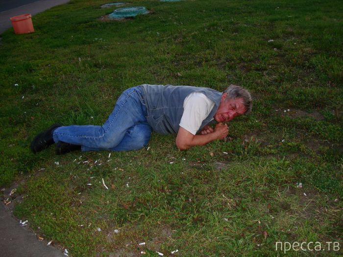 �������� - ���� �� ����� ��������������� � ������������ ������� ������ (26 ����)