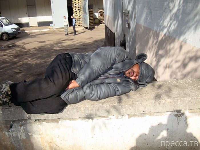 �������� - ���� �� ����� ��������������� � ������������ ������� ������ (26 ����)