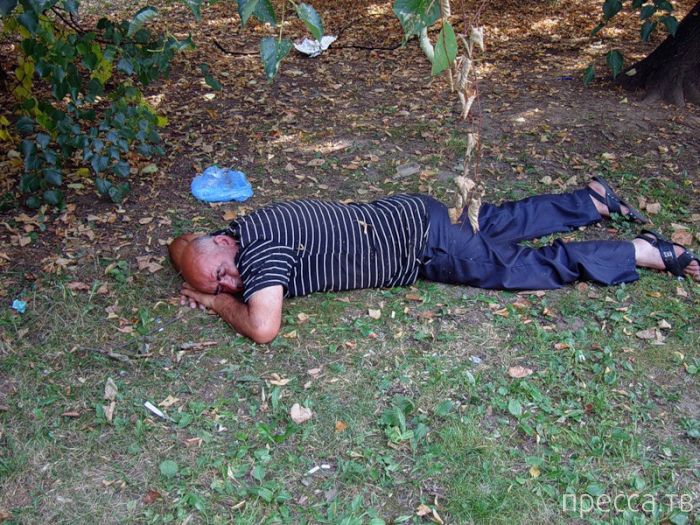 �������� - ���� �� ����� ��������������� � ������������ ������� ������ (26 ����)