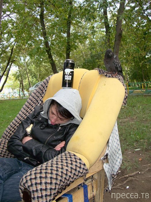 �������� - ���� �� ����� ��������������� � ������������ ������� ������ (26 ����)