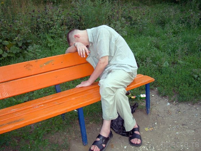 �������� - ���� �� ����� ��������������� � ������������ ������� ������ (26 ����)