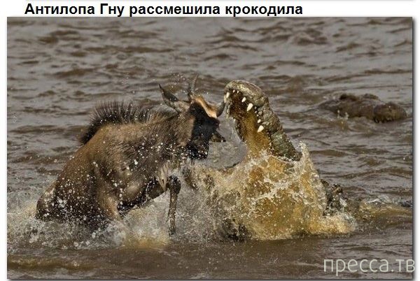 � ������ � ������� ����� ������� (9 ����)