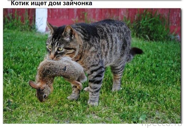 � ������ � ������� ����� ������� (9 ����)