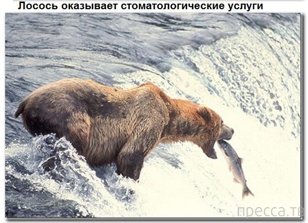 � ������ � ������� ����� ������� (9 ����)