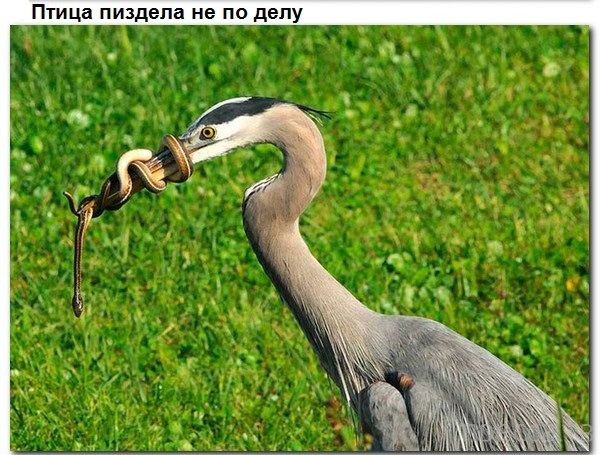 � ������ � ������� ����� ������� (9 ����)