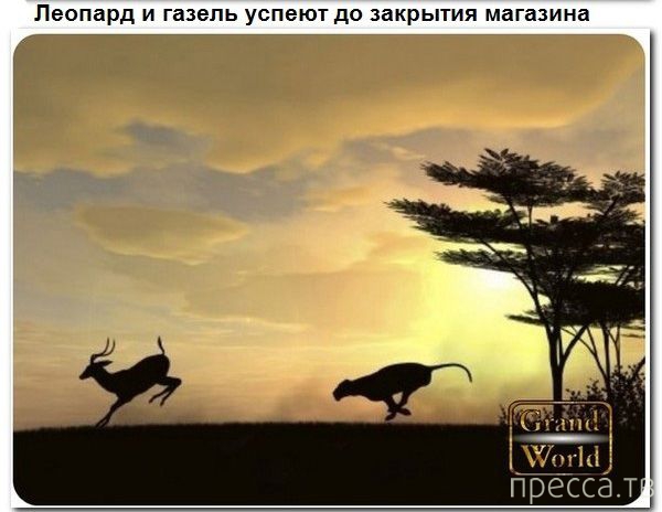 � ������ � ������� ����� ������� (9 ����)