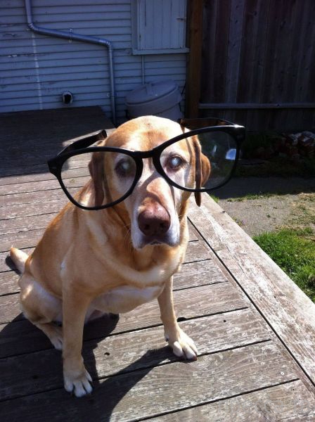 ����� � �������� ��������, ����� 4 (42 ����)