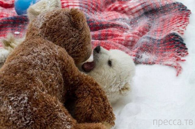 ����� � �������� ��������, ����� 4 (42 ����)