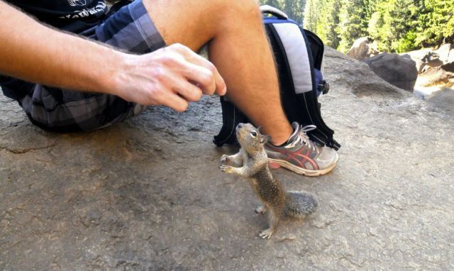 ����� � �������� ��������, ����� 4 (42 ����)