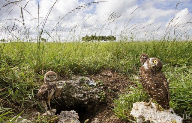 ����� � �������� ��������, ����� 4 (42 ����)